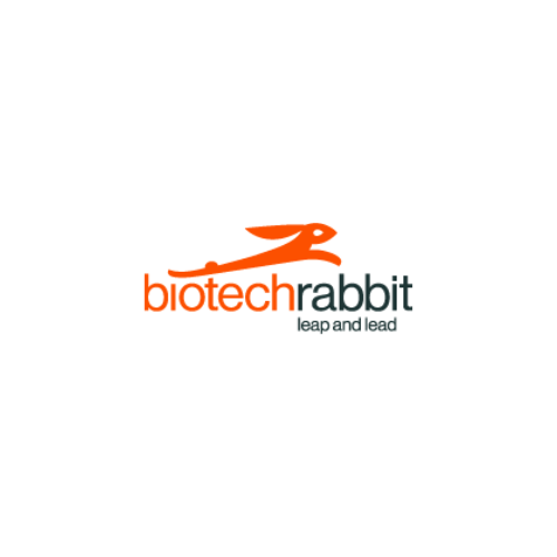 Biotech Rabbit